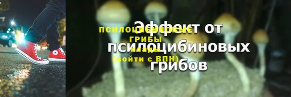 МДПВ Белокуриха