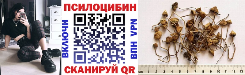 Галлюциногенные грибы Psilocybine cubensis  Мураши 